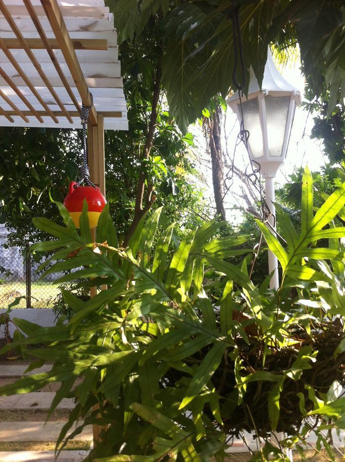 Hostal Casaluna San Andres מראה חיצוני תמונה